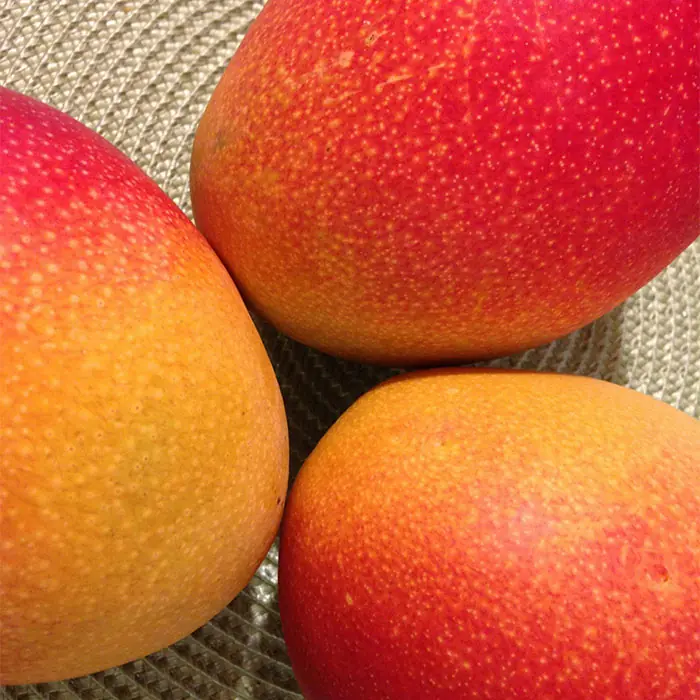 puring-mango